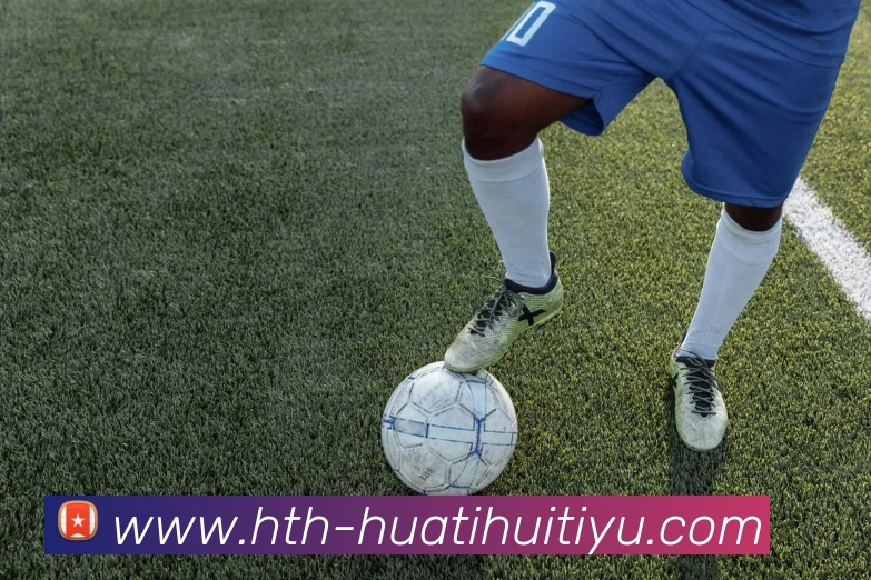 华体会体育平台生态图