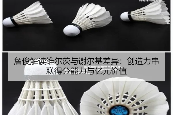 詹俊解读维尔茨与谢尔基差异：创造力串联得分能力与亿元价值 - hth
